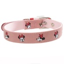 COLLAR P/CACHORRO MINNIE MOUSE S