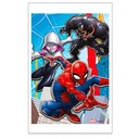 BOLSITA DE PIÑATA SPIDERMAN