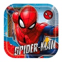 PLATOS PIÑATERIA SPIDERMAN 7"