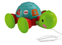 FP TORTUGA APRENDIZAJE